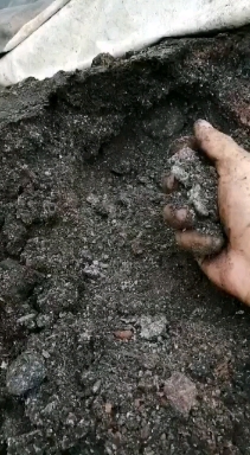 柑橘葡萄火龙果冬肥生物菌发酵猪粪鸡粪精制有机肥