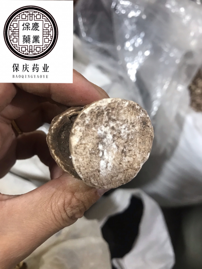 重楼重楼片七叶一枝花蚤休实拍滇重楼重楼个