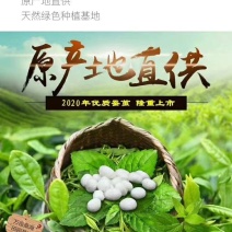 云端养殖/万亩桑园自养自产自销