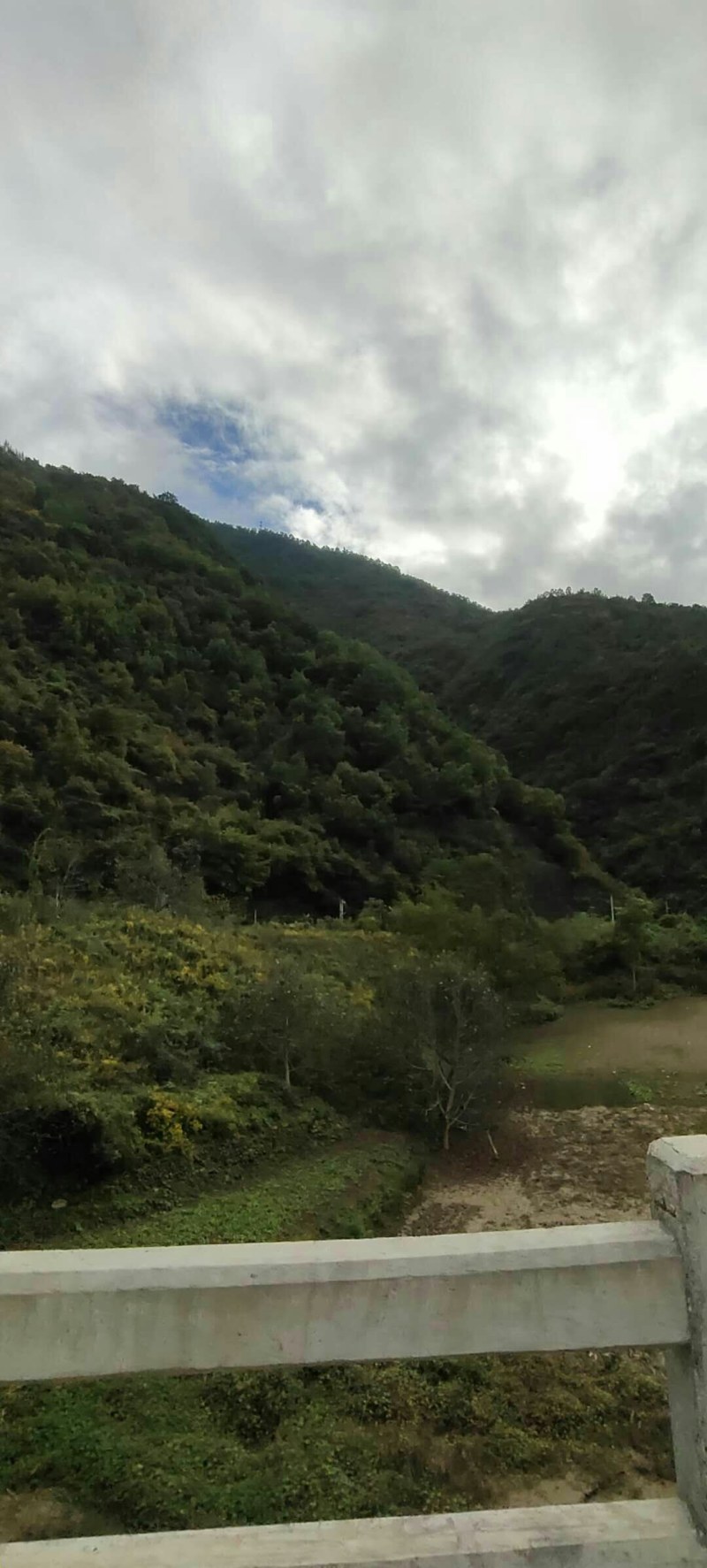 荒山出租或寻求合作，，