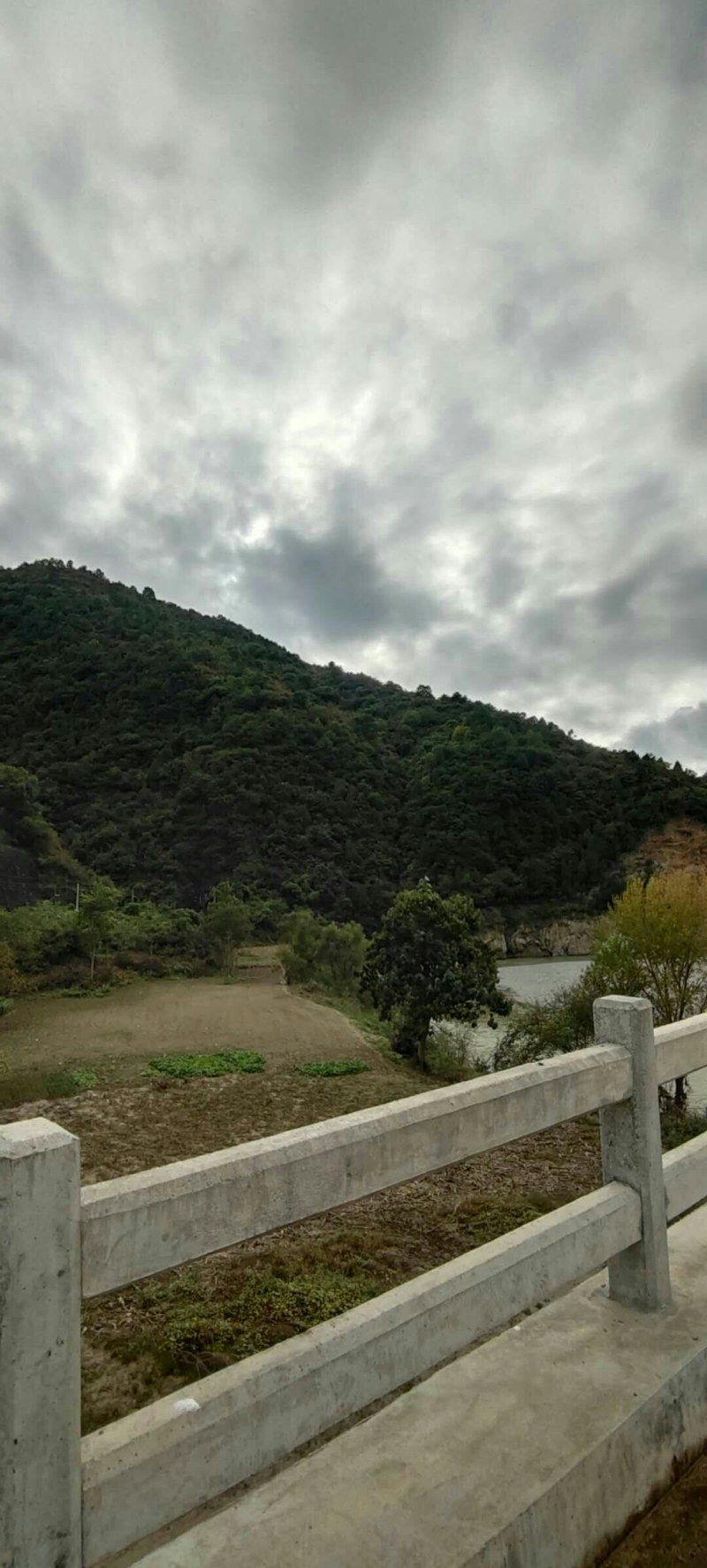 荒山出租或寻求合作，，
