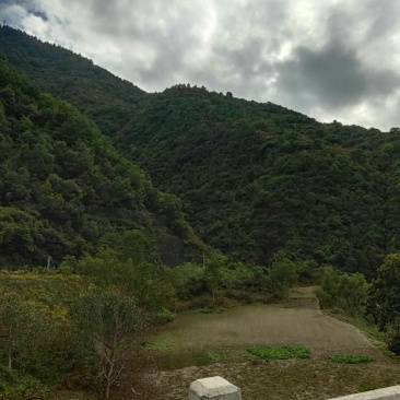 荒山出租或寻求合作，，