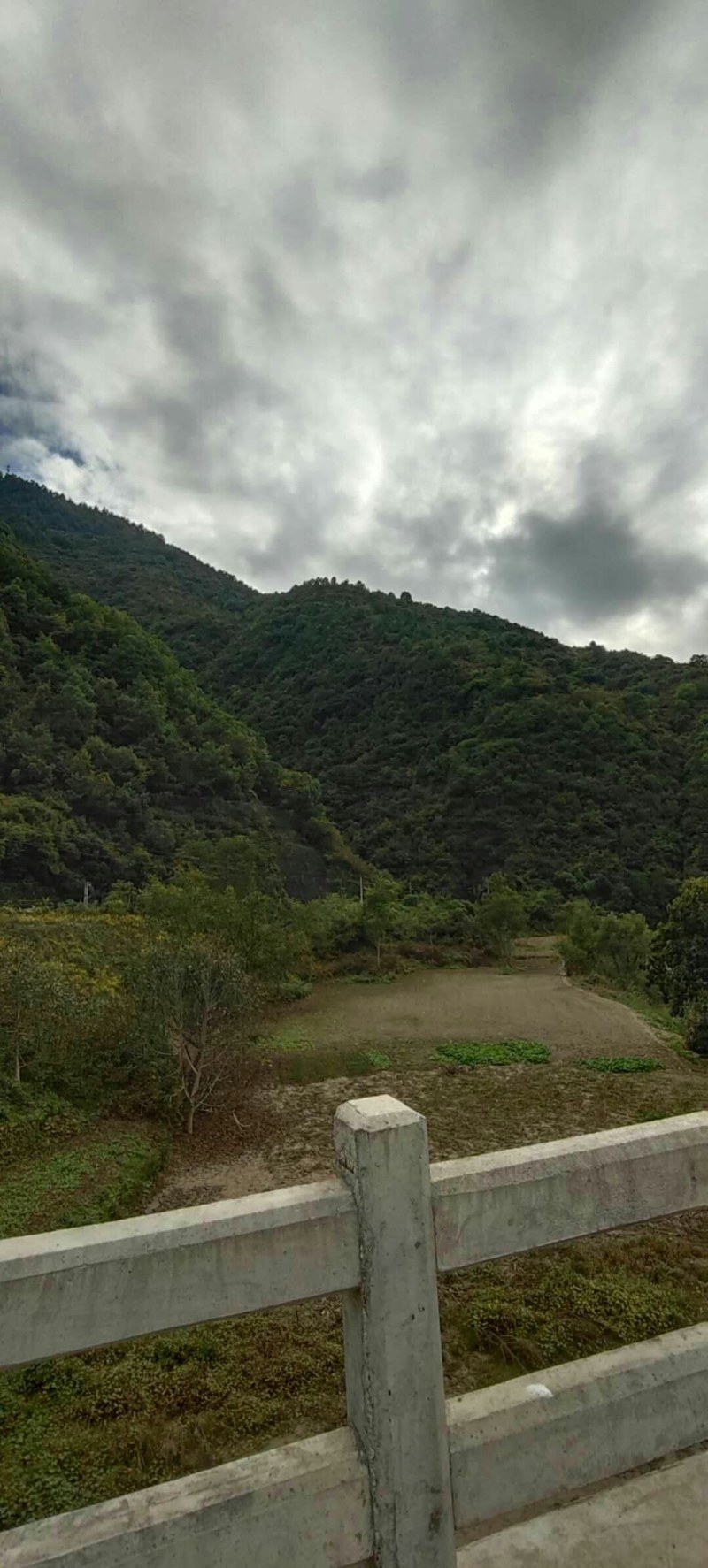 荒山出租或寻求合作，，