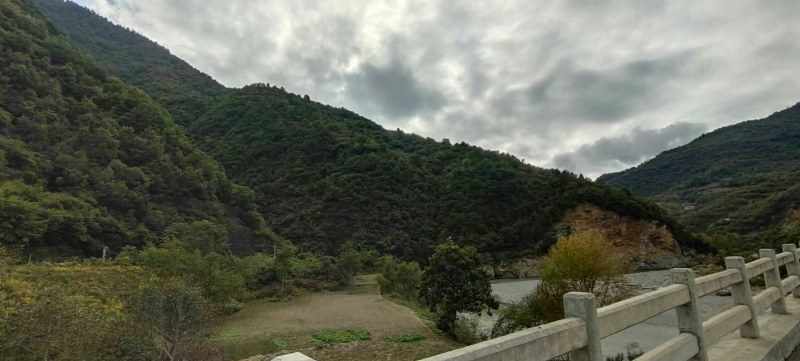 荒山出租或寻求合作，，