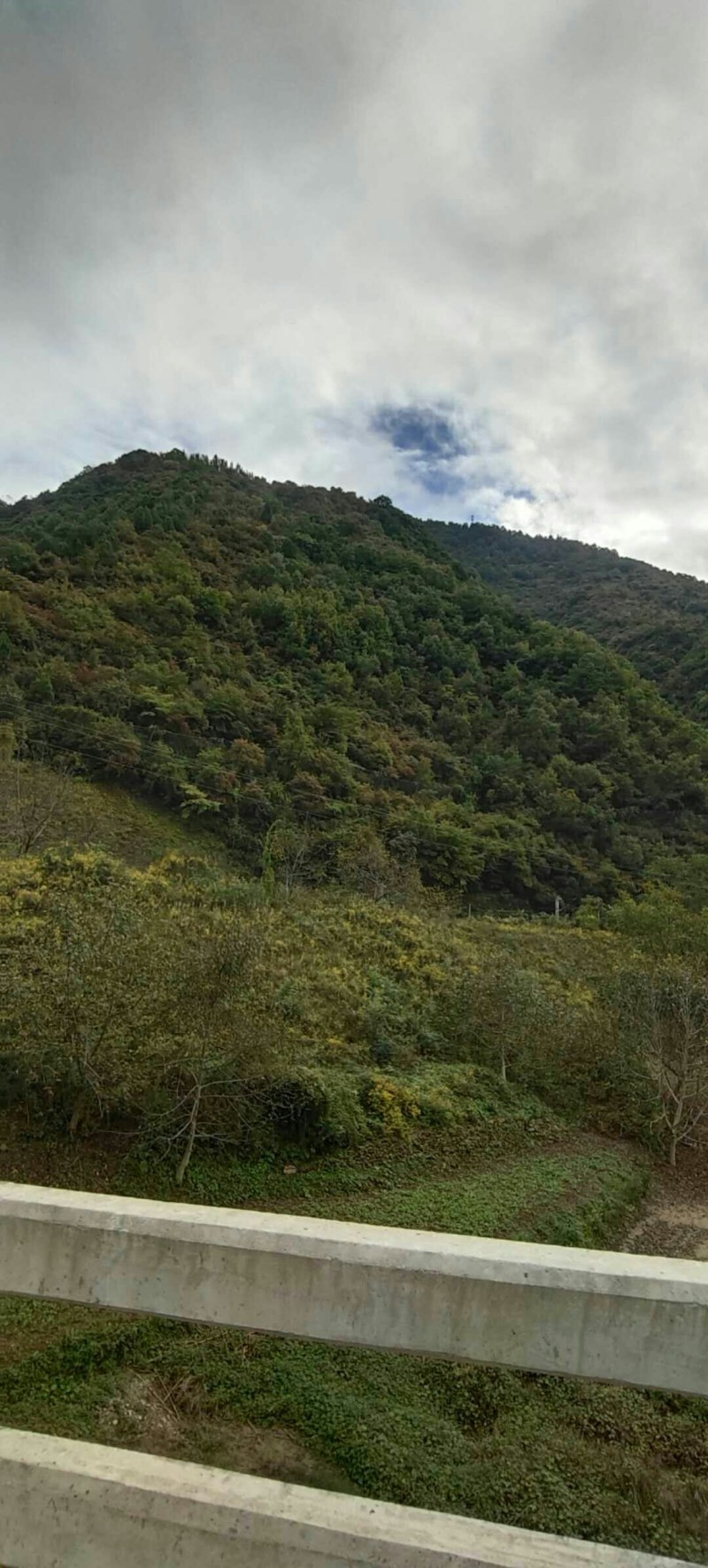 荒山出租或寻求合作，，