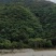 荒山出租或寻求合作，，