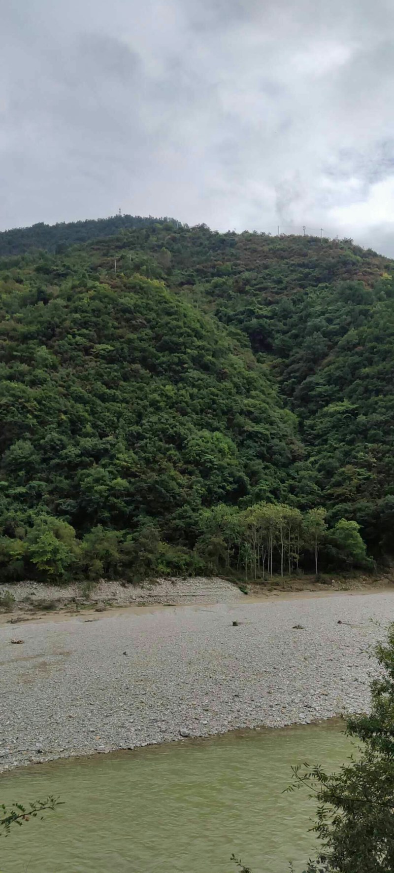 荒山出租或寻求合作，，