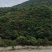 荒山出租或寻求合作，，