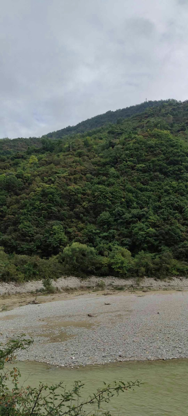 荒山出租或寻求合作，，