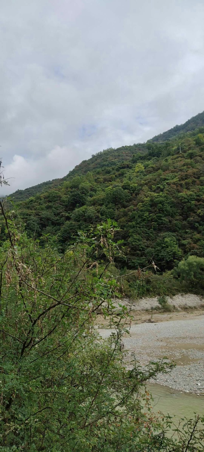 荒山出租或寻求合作，，
