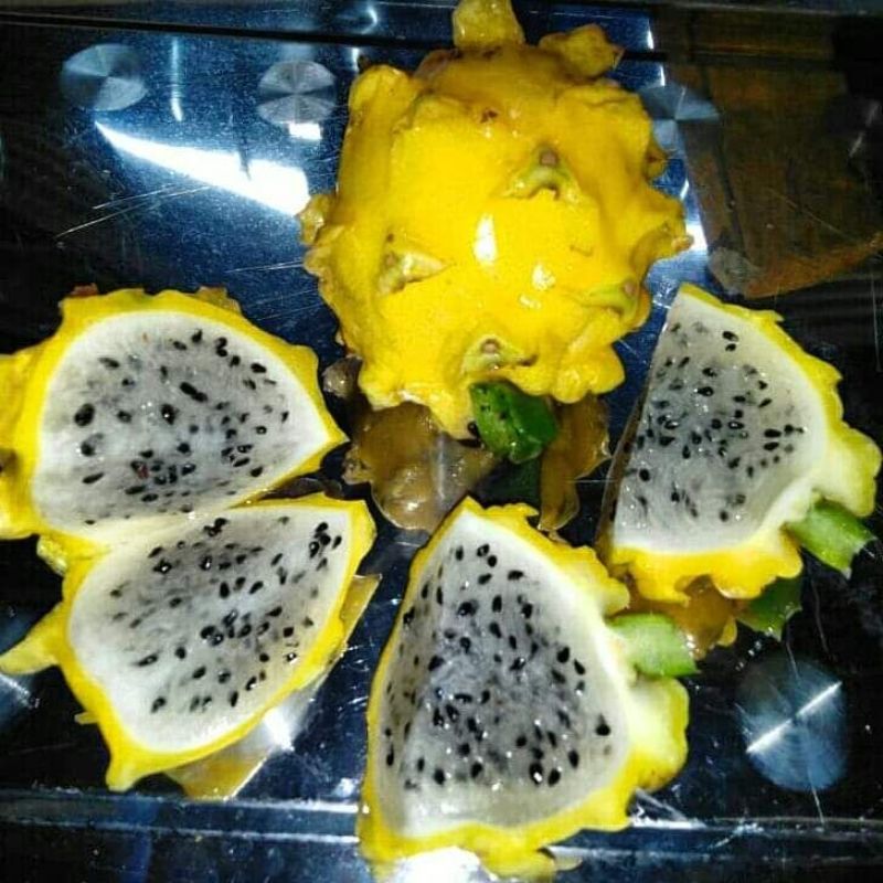 秘鲁燕窝，嫁接苗，自粉，抗病甜度26度，包活包技术