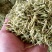 金银花苗树型金银花产量高农户自家栽培
