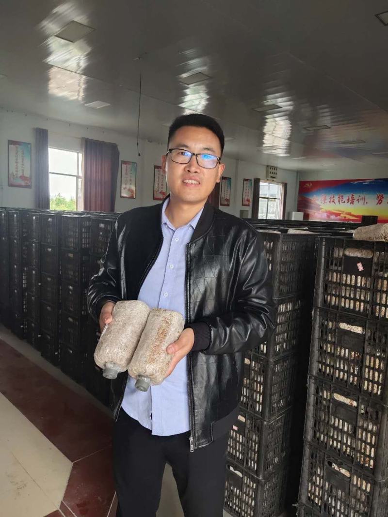 菌种大球盖菇我们专业