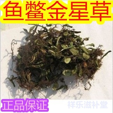 鱼鳖草鱼鳖金星草正品保证质量无理由退货退款