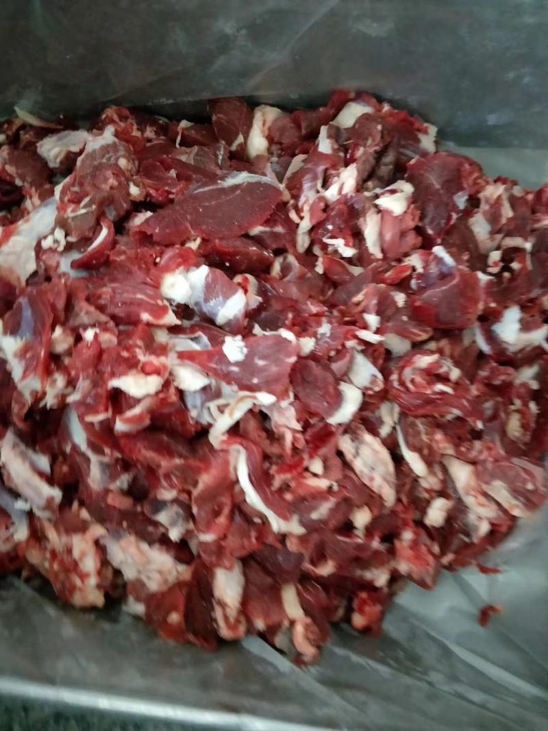 清真纯干牛碎肉价格不高，精选牛碎肉适用于饺馅，烧烤，烤肉