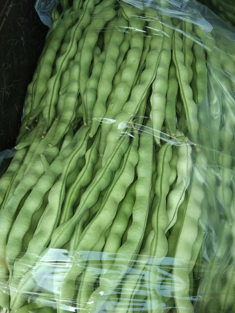 好棒豆在云南红河州弥勒