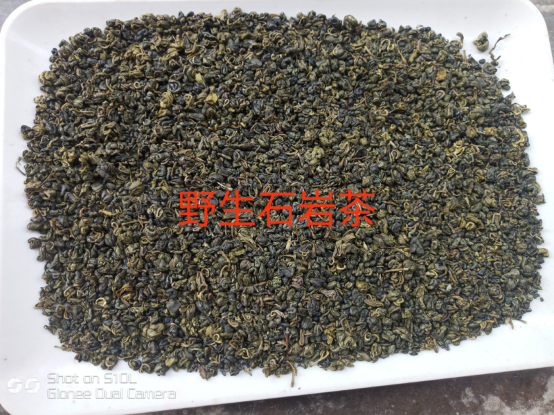 2024新款广西金秀大瑶野生石崖茶口感香甜每件包邮