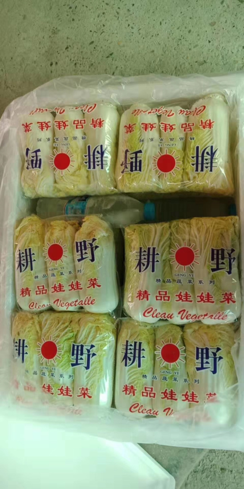 常年供应精品娃娃菜大小菜均有。优质毛菜大量现货