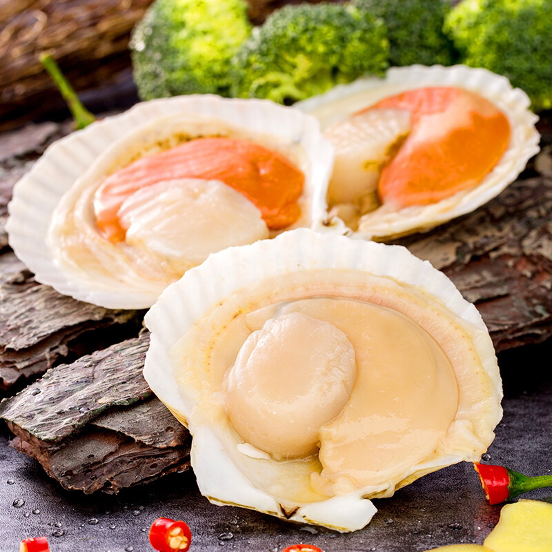 川渝包邮鲜活扇贝超大特大夏威夷贝蒜蓉粉丝贝类烧烤小海鲜