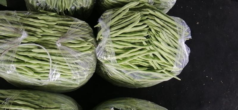 河北唐山乐亭县各种蔬菜大量上市了
