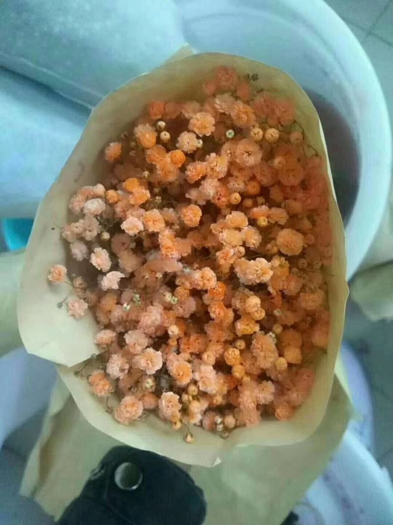 吸色满天星支持一件代发团购批发产地直发可视频看货