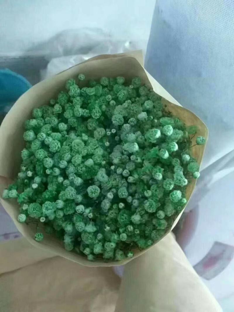 吸色满天星支持一件代发团购批发产地直发可视频看货