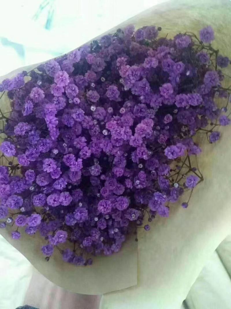 吸色满天星支持一件代发团购批发产地直发可视频看货