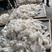 长裙竹荪菌包菌种销售场地直发提供技术支持