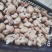 卢氏冬菇新货头茬精品香菇