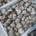 卢氏冬菇新货头茬精品香菇