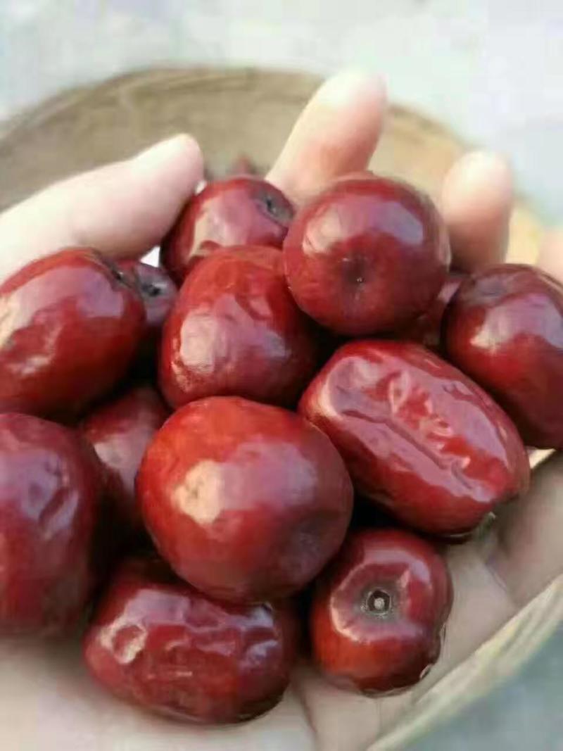 山西特产红枣稷山精品板枣皮薄肉厚核小甜度高色泽好