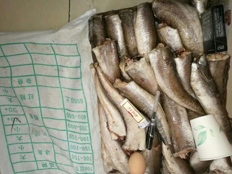 鳕鱼无须鳕鱼三去，船冻原料国产，价格请详询
