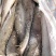 鳕鱼无须鳕鱼三去，船冻原料国产，价格请详询