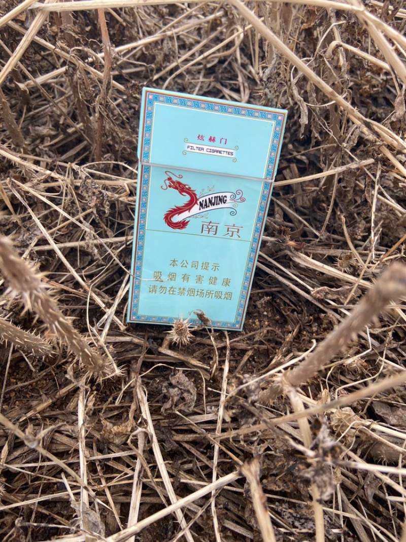 刺嫩芽苗（刺老包)（乌龙头）