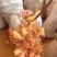 黄精育苗小块茎可以直接下地无需要分割没伤口不腐烂