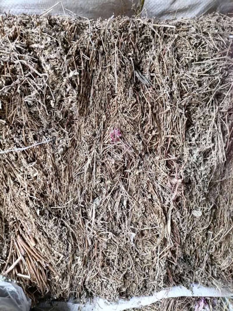 地锦草大货无霉变药厂货哦打件十吨欢迎联系