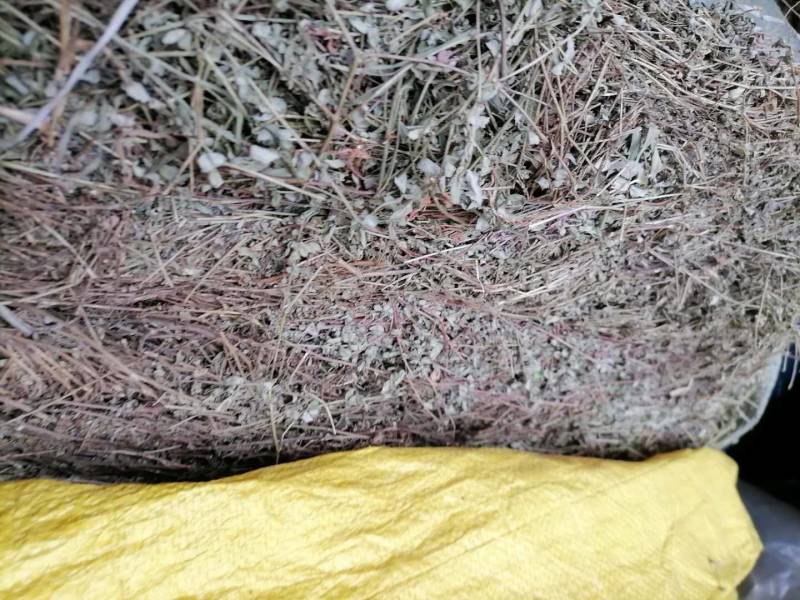 地锦草大货无霉变药厂货哦打件十吨欢迎联系