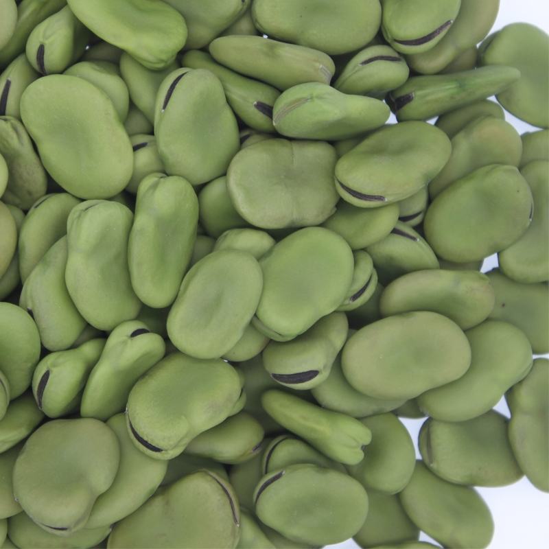 蚕豆种子农家老品种特级蚕豆种籽好吃营养丰富越冬种的蔬菜种