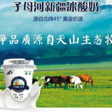 包邮新疆兵团子母河冰酸奶,网红冰淇淋酸奶,酸牛奶