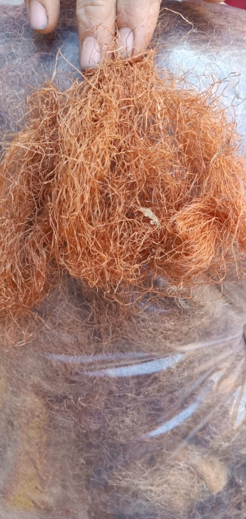 玉米须新货可泡水各种中药材批发质量保证中药材