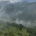 草河车拳参紫参草血竭虾参红蚤休化骨莲拳皇小鸡货源采挖地