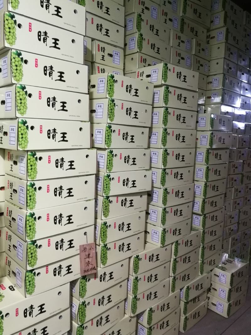 大量阳光玫瑰欢迎致电