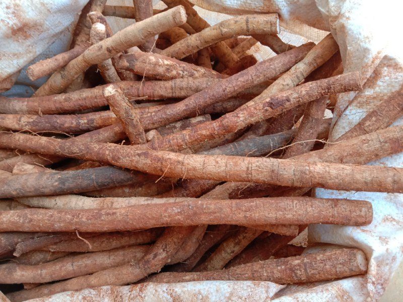 鲜牛大力，中药材牛大力鲜货