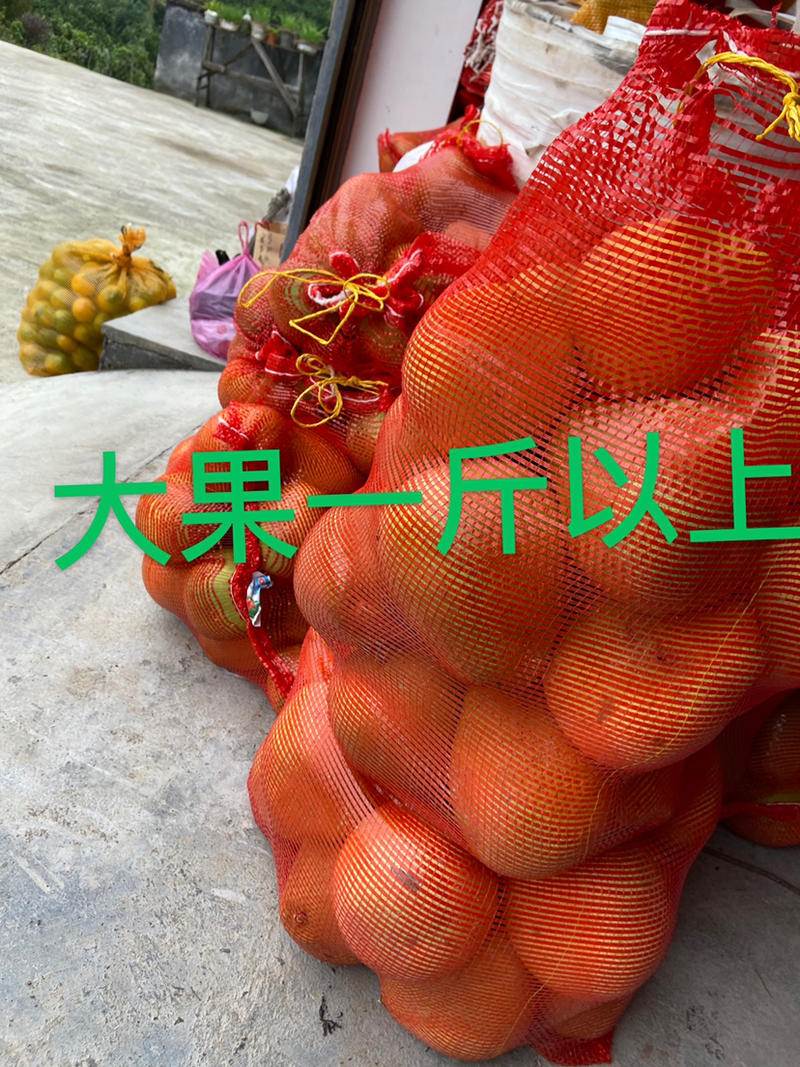 正宗安福蚕子/金兰柚/冰糖柚/小苦柚，皮薄多汁