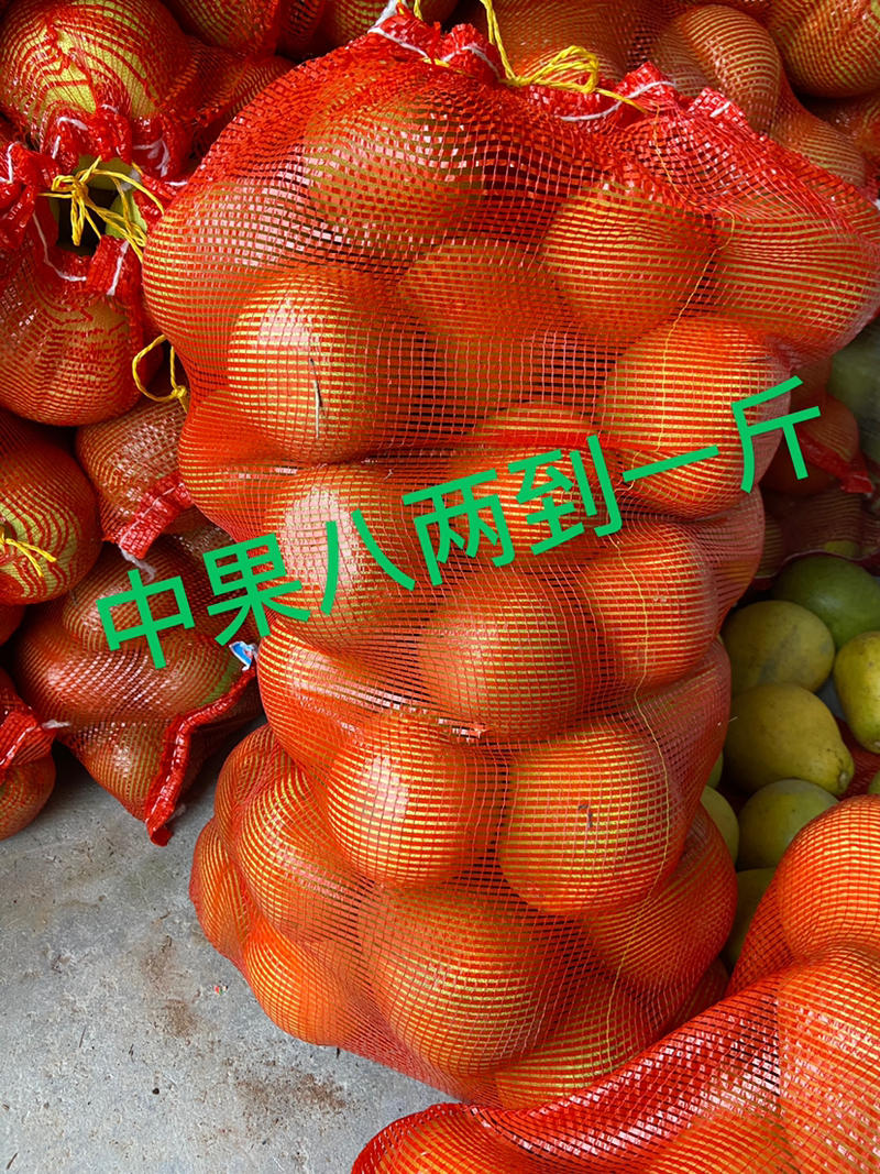 正宗安福蚕子/金兰柚/冰糖柚/小苦柚，皮薄多汁
