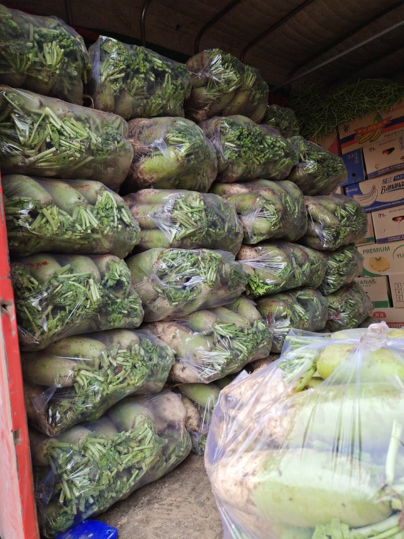 青萝卜，大量上市，有需要的请联系。？？？