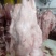 鲜板油