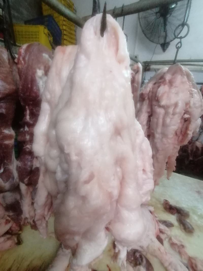 鲜板油
