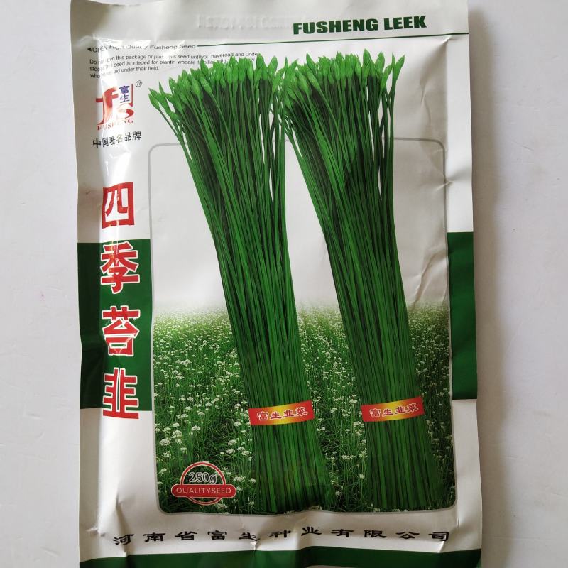 苔韭种子，四季苔韭，中华苔韭菜种子厂家直销欢迎咨询