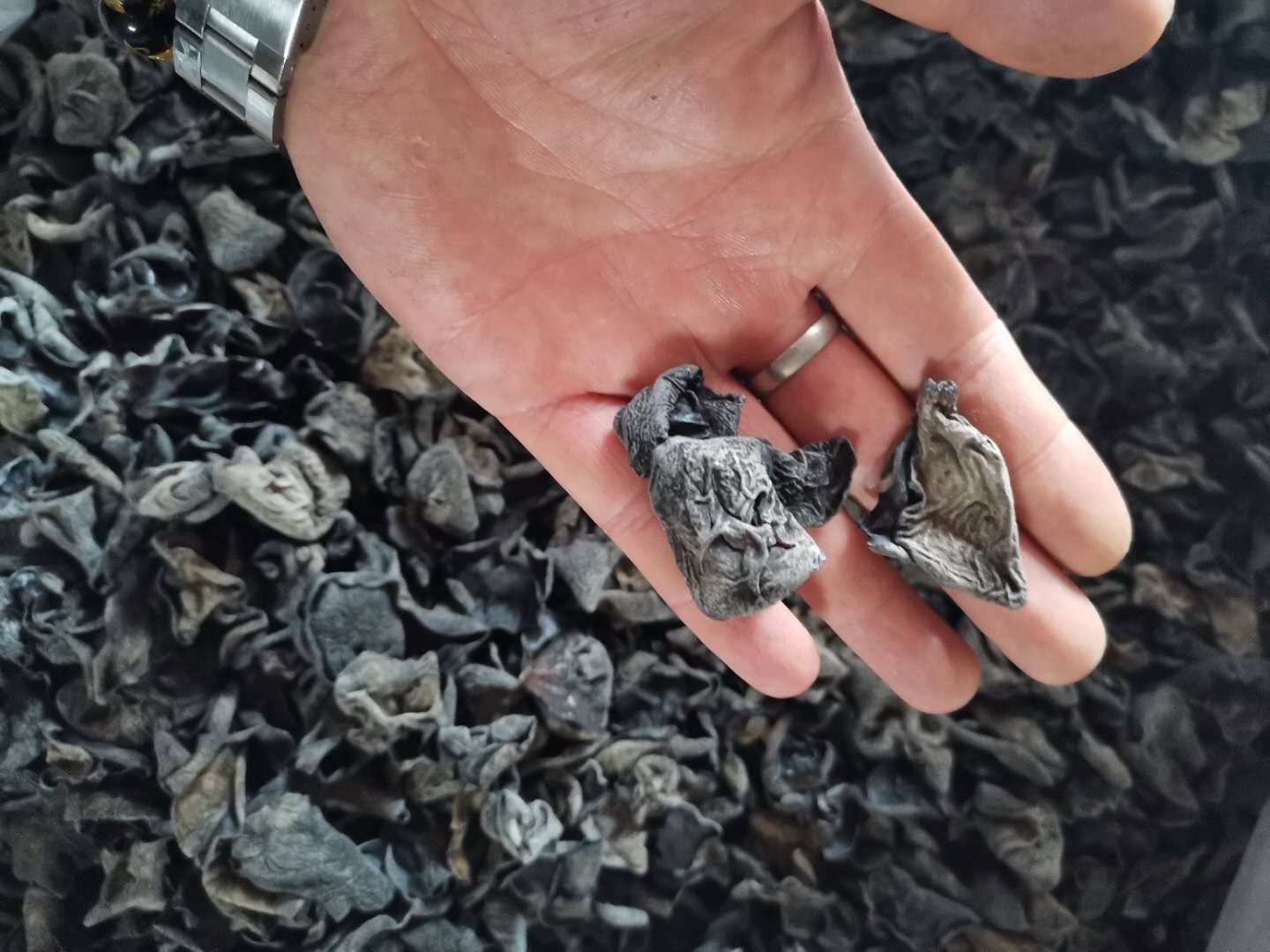 木耳营养成分柱状图